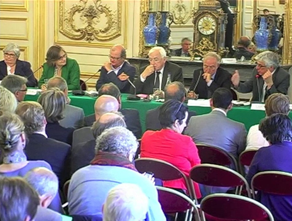 Les maires et le pacte républicain - Colloque Odas au Sénat le 4 juin 2014 - Sabine Fourcade, Directrice générale de la cohésion sociale