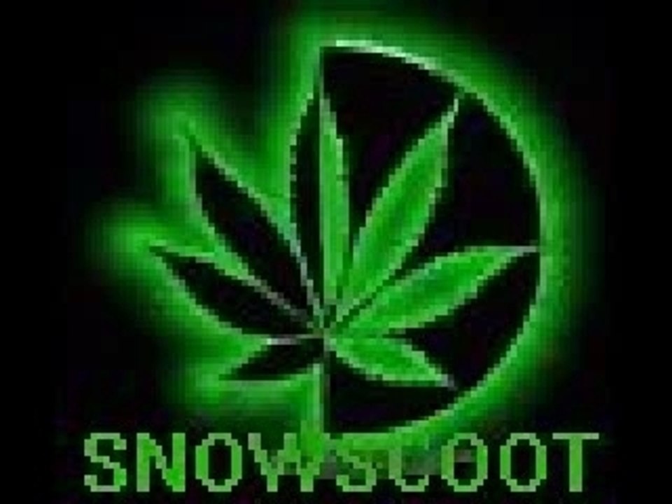 Bash hard snowscoot