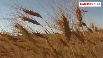 Konya Ovası ile İlgili Arşiv Görüntüleri