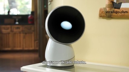 Dünyanın İlk Aile Robotu: JIBO - Robot Teknolojisi Nereye Gidiyor?