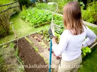 The Pearl, Bhiwadi by Kalka Home Developers