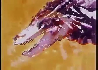 Bugs' & Daffy's Carnival of the Animals - Fossils