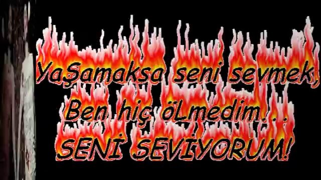 Seni seviyorum selami şahin