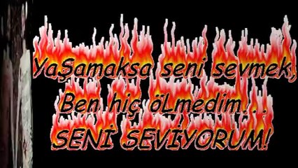 Seni seviyorum selami şahin