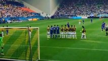 Amazing Goal for Chelsea : beautiful free-kick by Cesc Fabregas