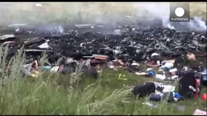 MH17: Russian experts plan visit to crash site