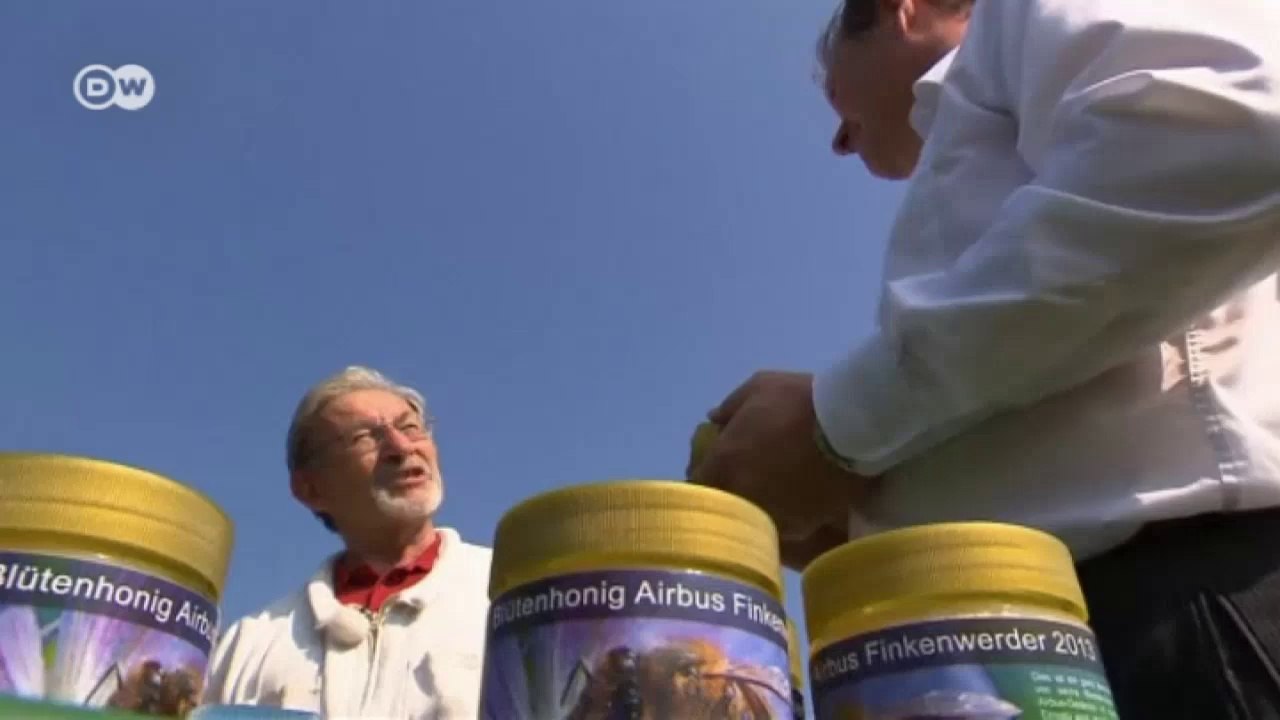 Bienen fliegen für Airbus | Wirtschaft kompakt