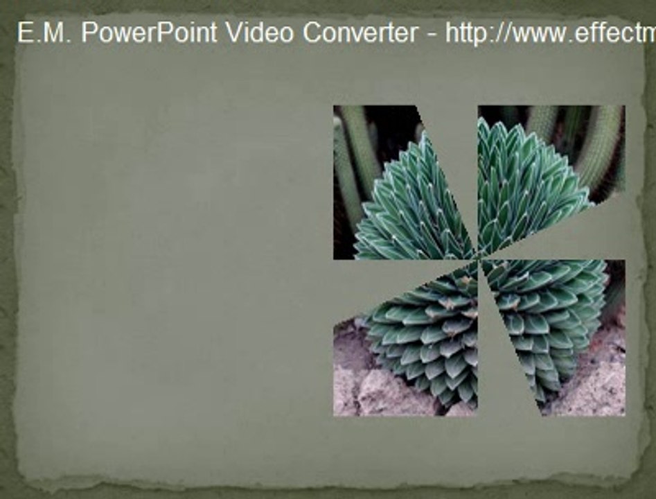 Online Herbs