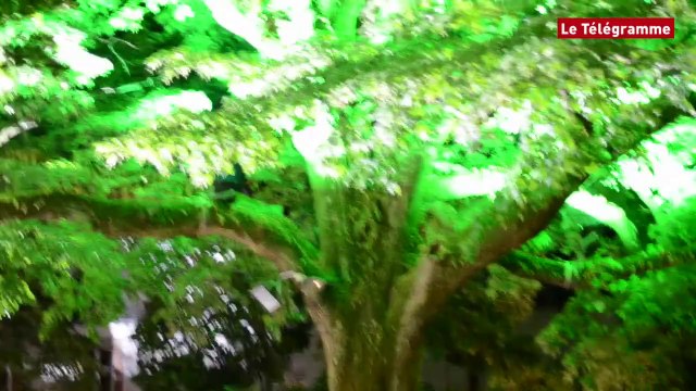 Jazz à Vannes : Gregory Porter