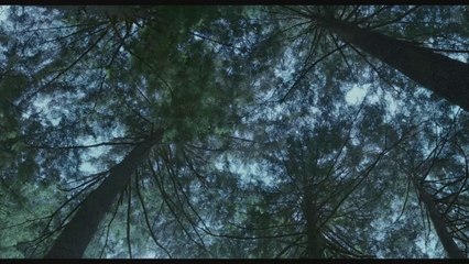 LA PLANETE DES SINGES : L'AFFRONTEMENT EN 3D - Bande-annonce2 VO