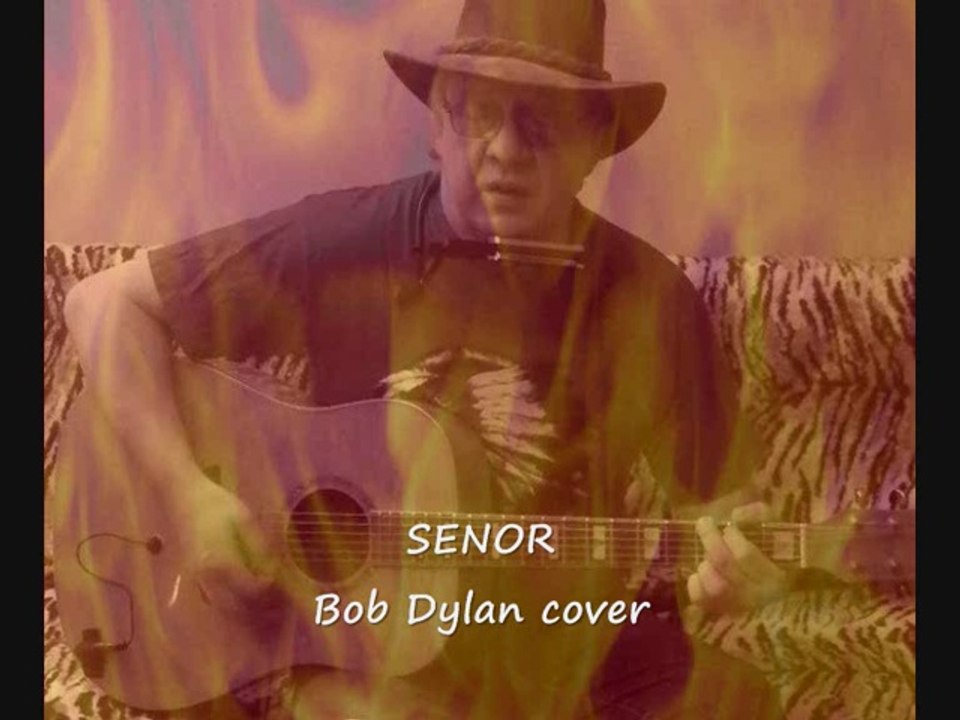 SENOR  (Bob Dylan cover) by Roger Holmroos