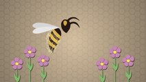 Le déclin des abeilles expliqué en 3 minutes