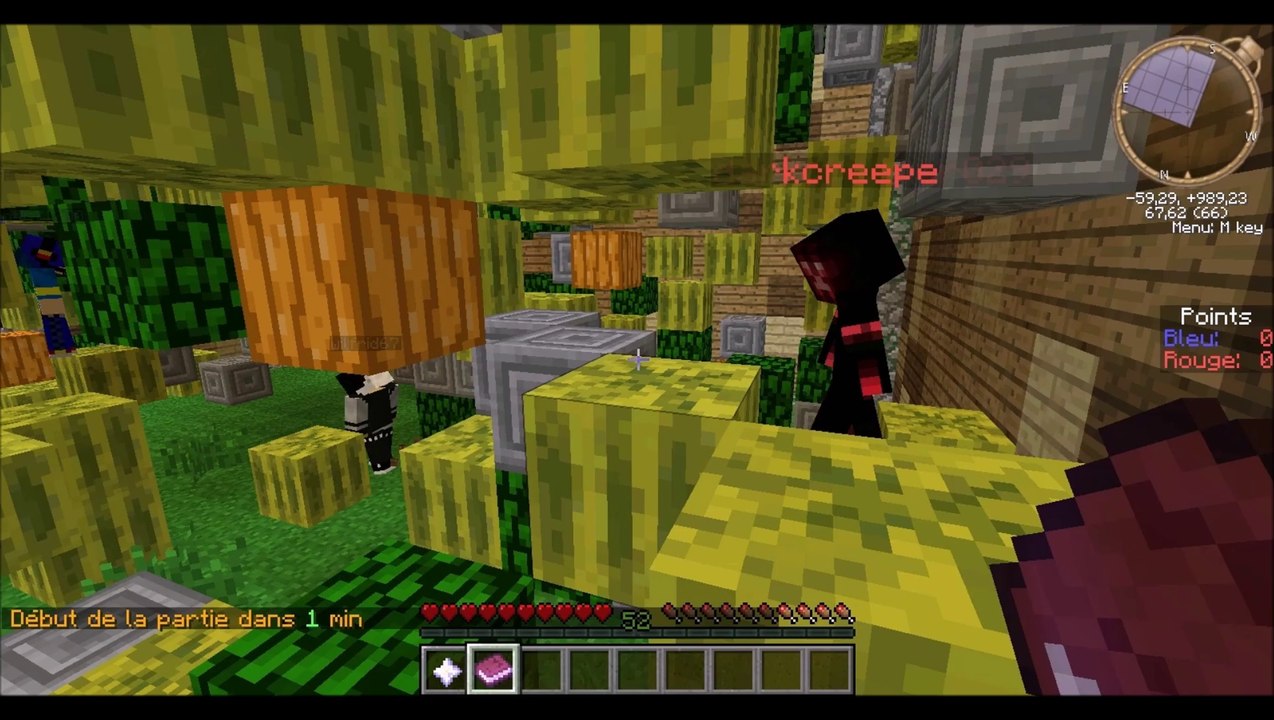 serveur : Le serveur Phoenix Rebirth part 1.