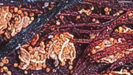 Herbier #18 - Des types par Teraoctets, la suite