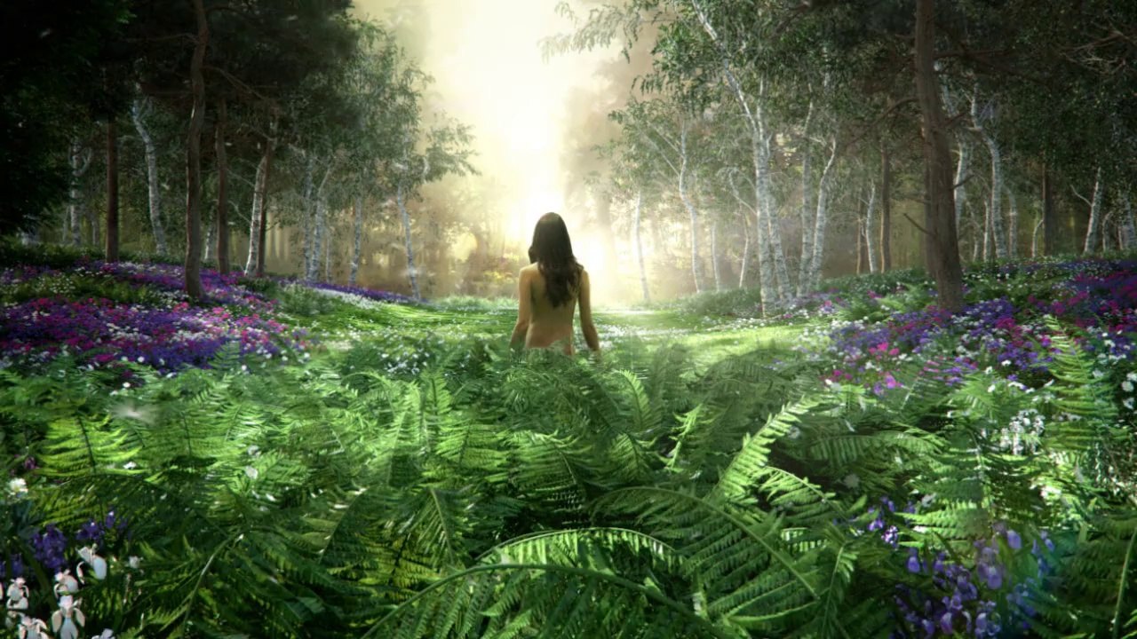 Making of Palmolive