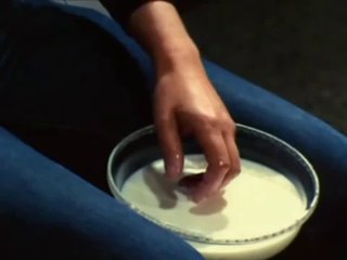 Valie Export: Remote (1973)