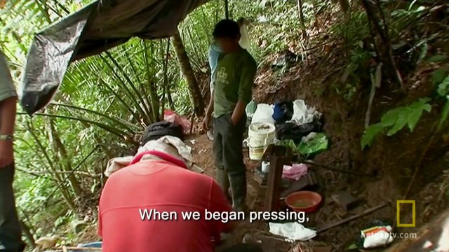 Drugs, Inc. - The Cocaine Producer