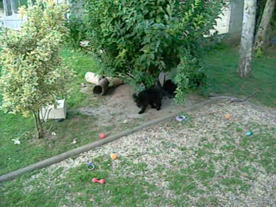 31 juillet 2014 (2) : 8 semaines