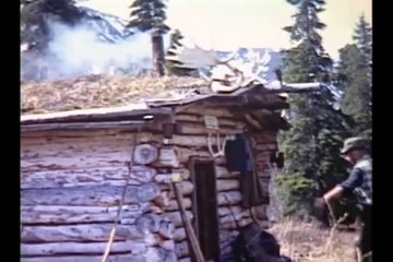 Alone in the Wilderness