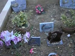 ballade au cimetière