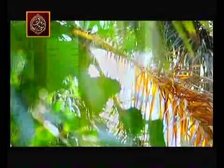 Jaane Kyun Episode 15 Full in High Quality - July 31