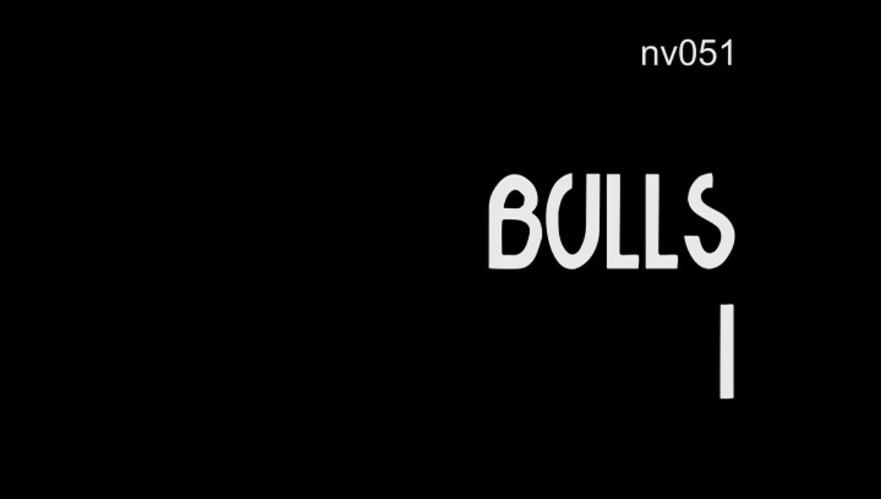 nv051 Bulls I