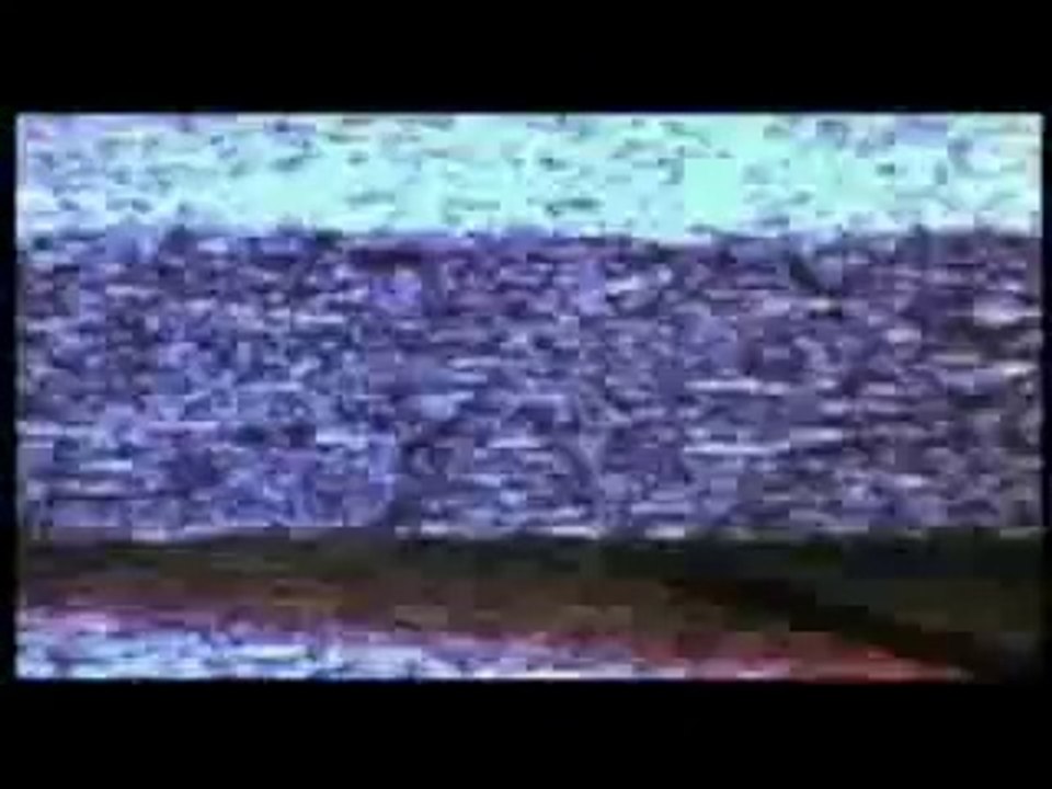 S.W.A.T. Trailer