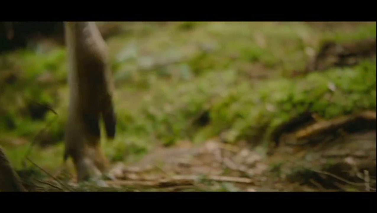 Bande-annonce : Twilight - Chapitre 5 : Révélation 2e partie  VF - Teaser