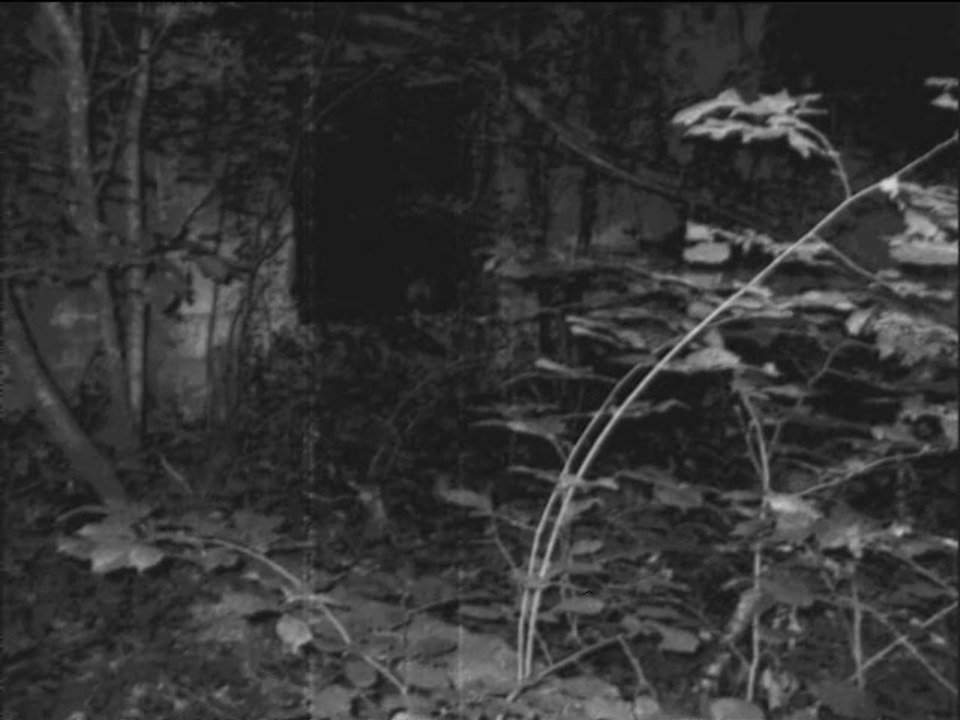 PVE Traves le 31 mai 2014