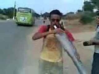 algerie la jeunesse algerienne et el H'bal mdrrr