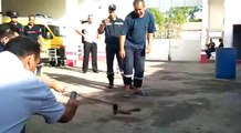 algerie un Cobra capturee par les pompiers a Biskra