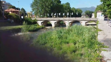 Papere Divertenti #1