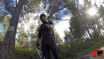 cyclist hit a tree at 50 kmh