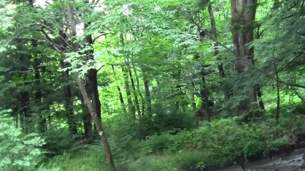 Slingshot rocket