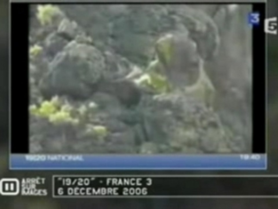 Les marmottes taliban