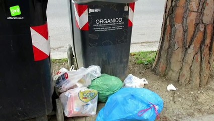 La differenziata a Rimini è di casa: in 4 anni aumentata del 12%