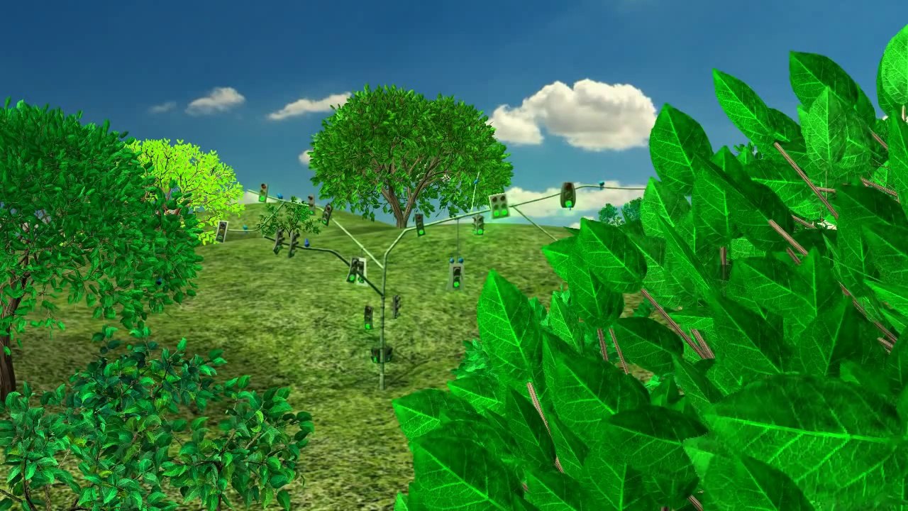 Going Green