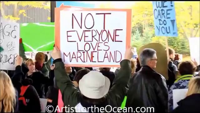 Les militants Anti Marineland s'insurgent contre les spectacles de dauphins