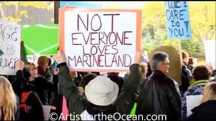Les militants Anti  Marineland s'insurgent contre les spectacles de dauphins