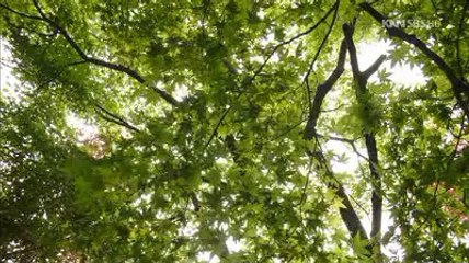 강북하드룸brims『uhMARTnet부평하드룸,유흥마트,강남하드룸』bulkiest