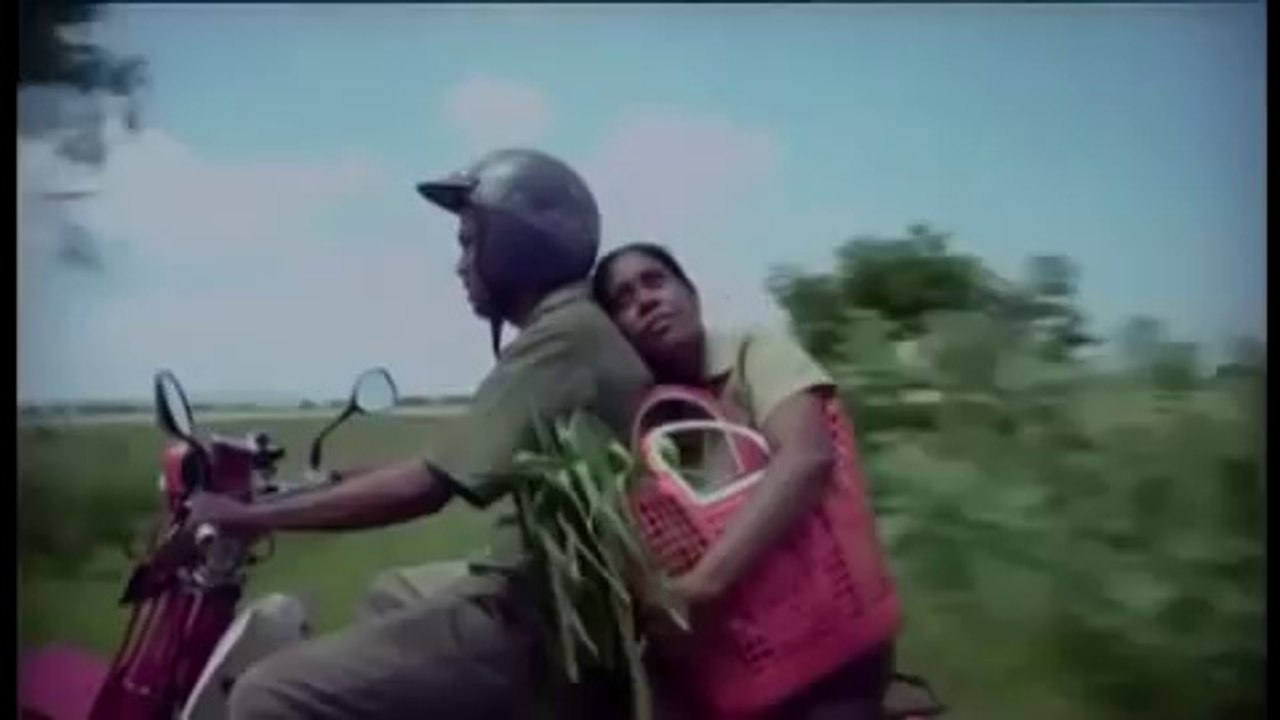 Flying Fish Movie Trailer
