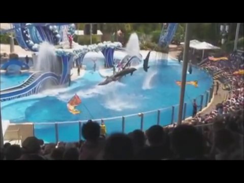 Fermer EngFranNedl dauphins en Europe, les delphinariums FERMEZ, Sluiter bis dauphins en Europe