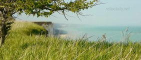 Smooth and Easy Instrumental Background Music - Normandy - relaxdaily N°070 1080p
