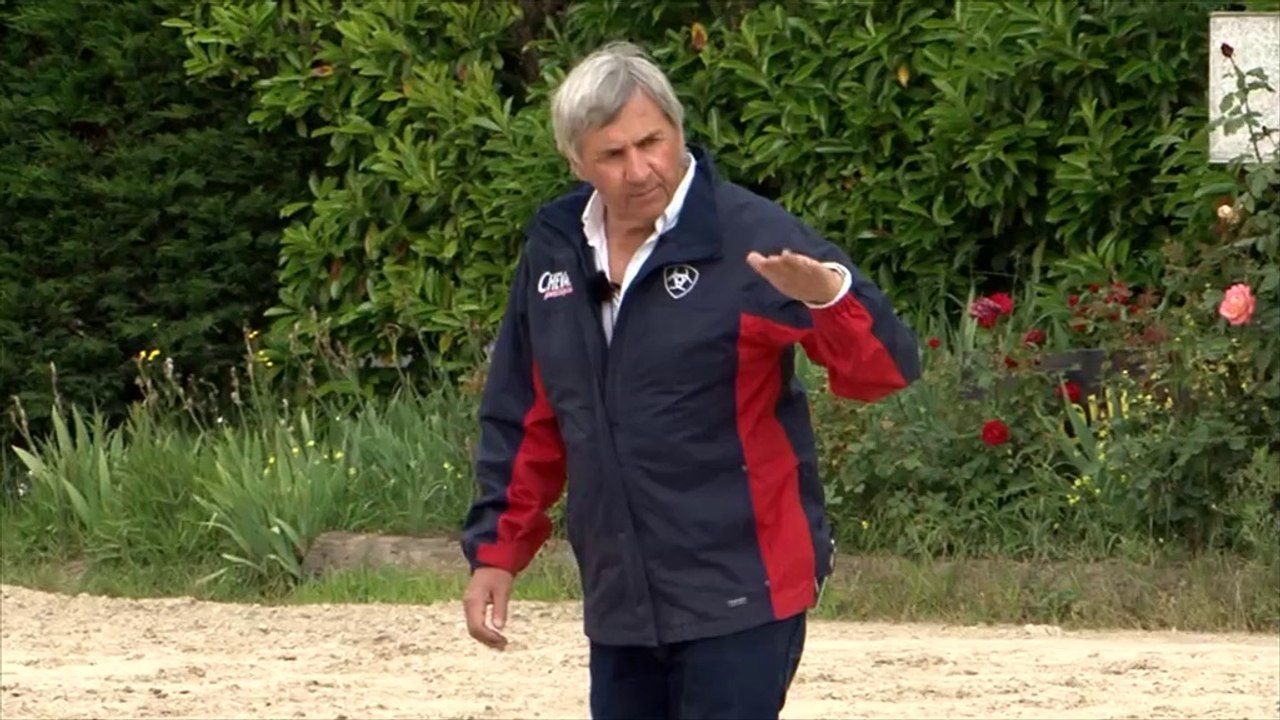 Cheval Pratique - Travail à l'obstacle : rapprocher-eloigner