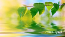 Calm Music - Slow, Peaceful, Background Music - relaxdaily N°042 1080p