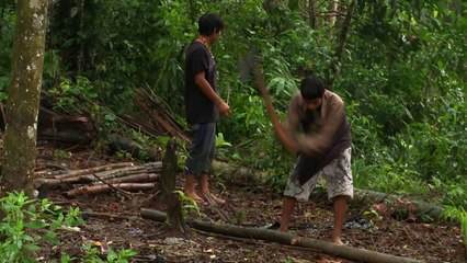 The Carbon Rush documentary trailer