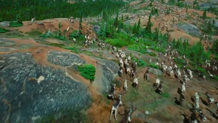 To the Arctic Official Trailer #1- 3D Documentary Movie (2012) HD