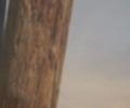 İsrail askerlerinden AA ekibine saldırı