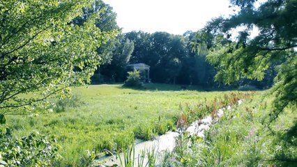 30-Second Berlin (Pfaueninsel "Peacock Island")