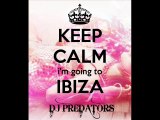 Ibiza House Party Vol.4 - DJ PREDATORS